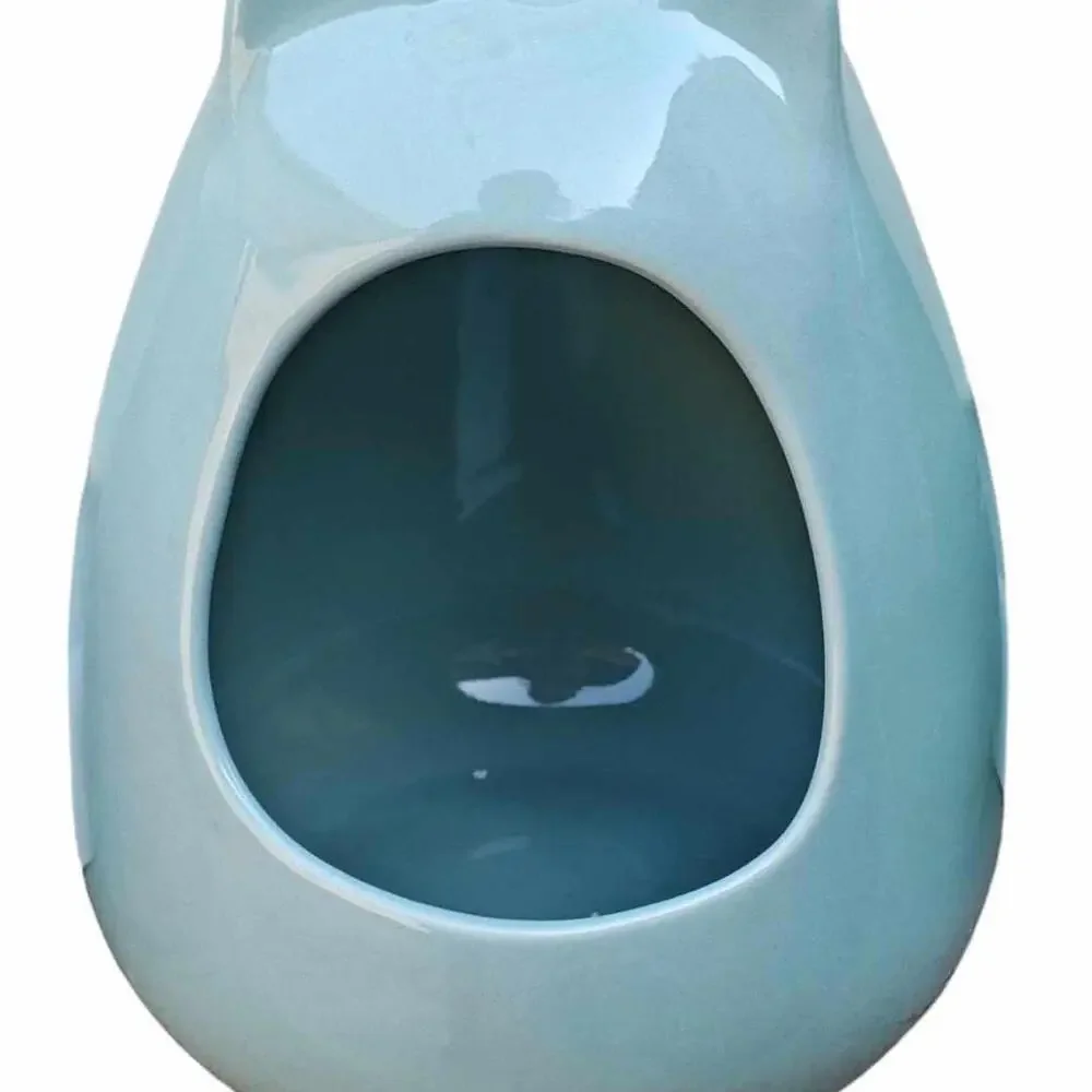 Ceramic Dust bath Or Pet Food Dish Heavyweight